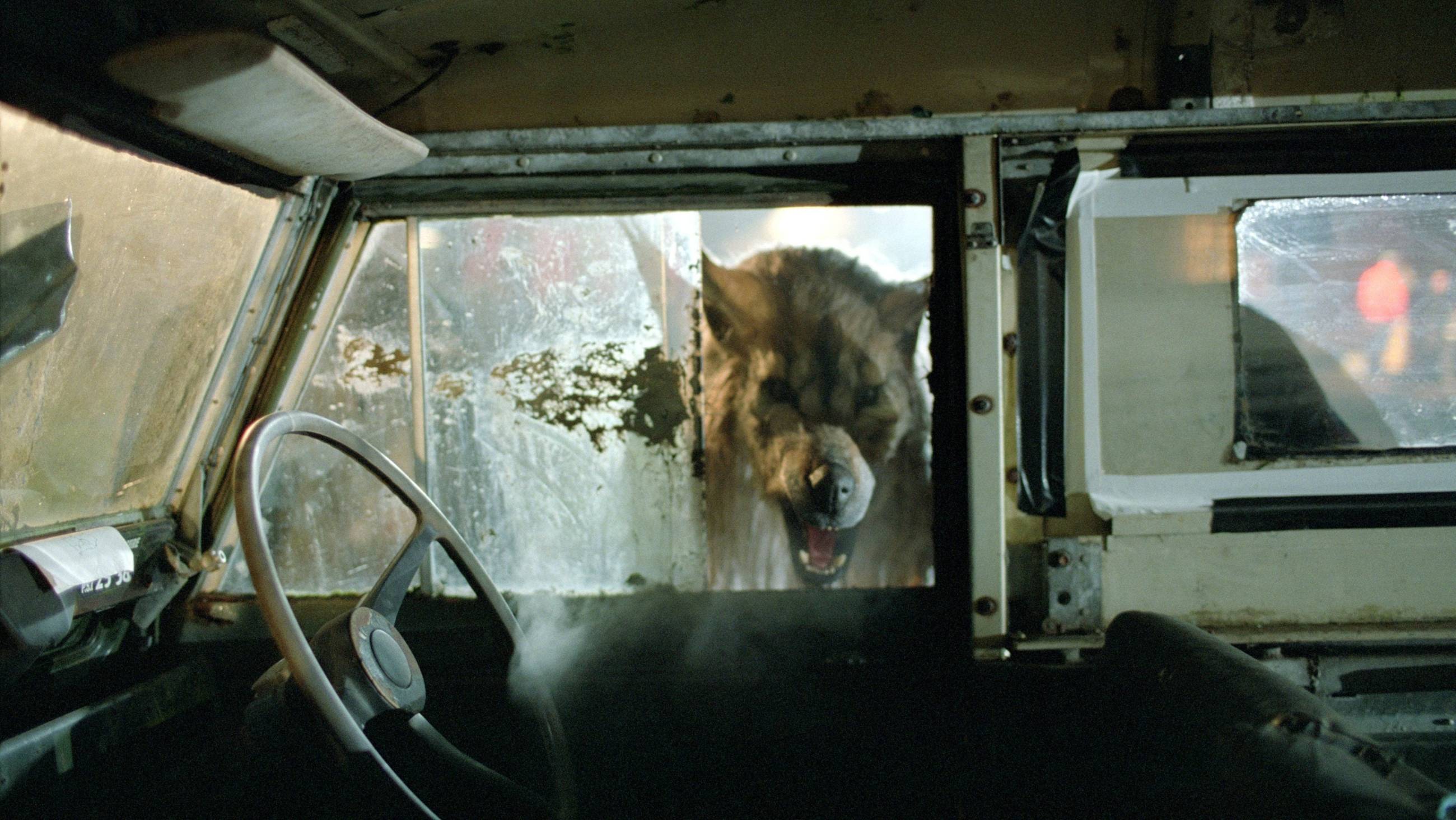 Cubierta de Dog Soldiers