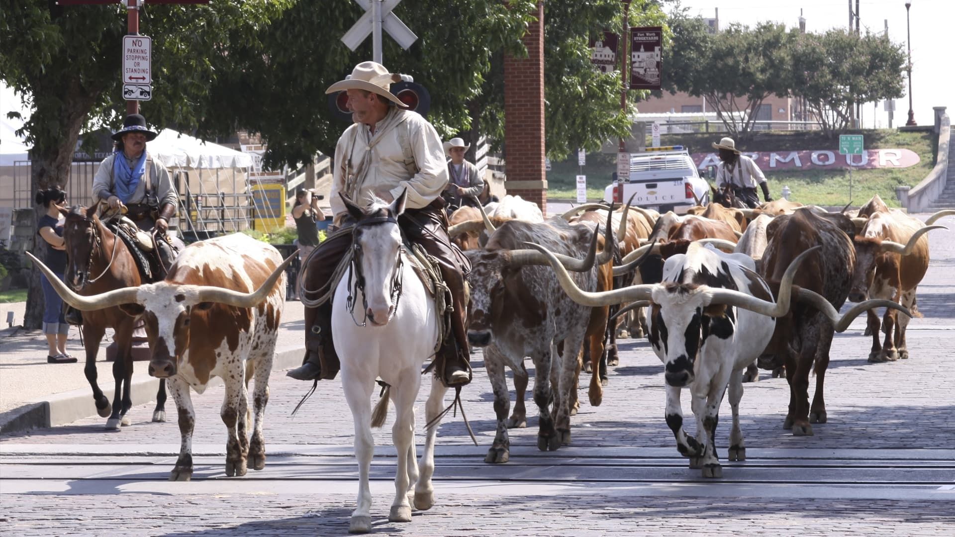 Cubierta de Adventures of Bailey: A Night in Cowtown