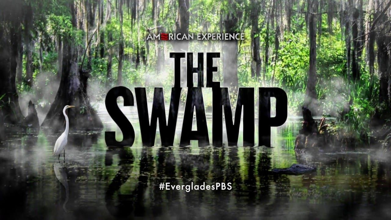 Cubierta de The Swamp (American Experience)