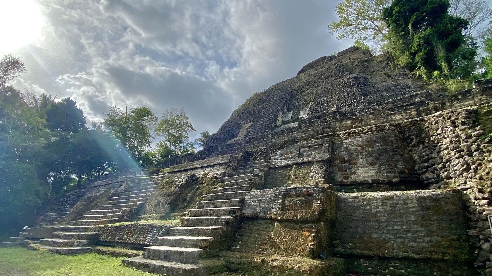 Cubierta de El declive de los reyes mayas