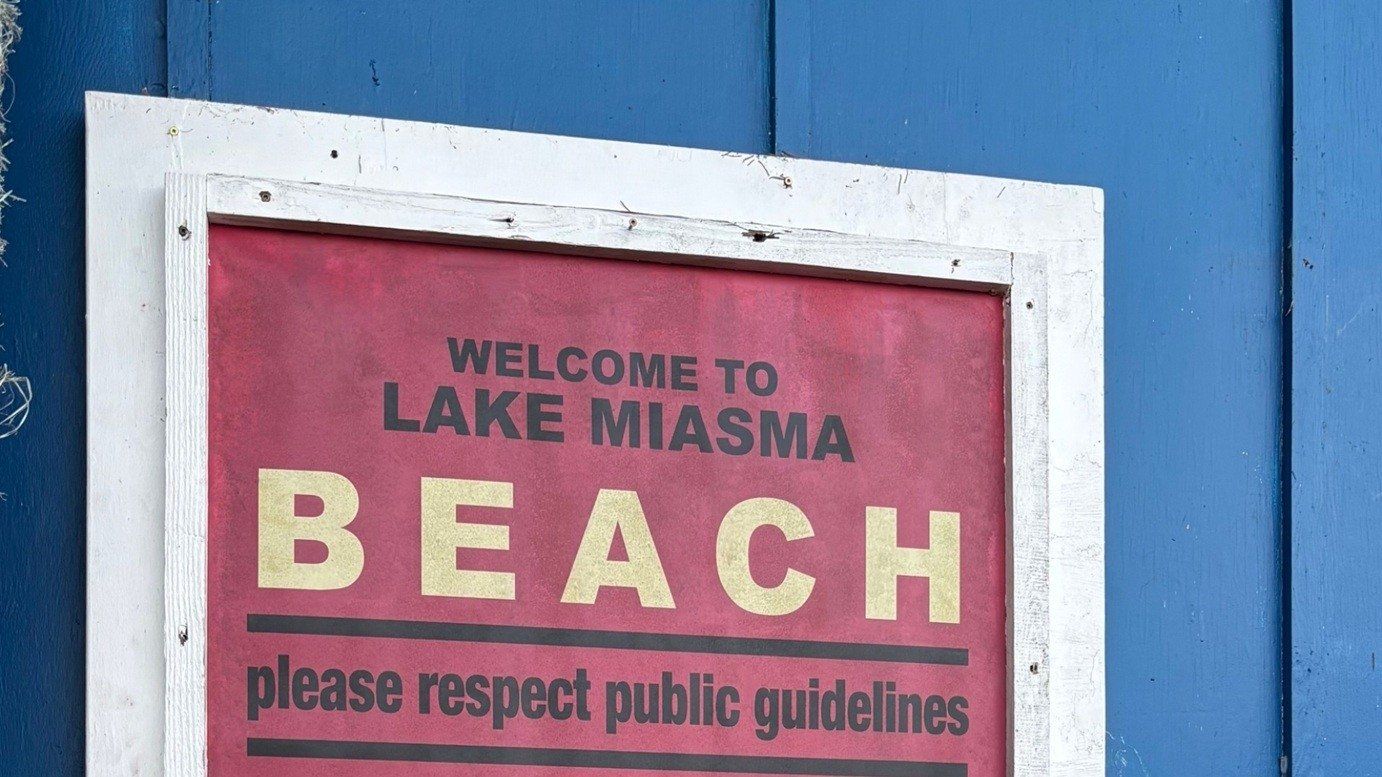 Cubierta de Teenage Sex and Death at Camp Miasma