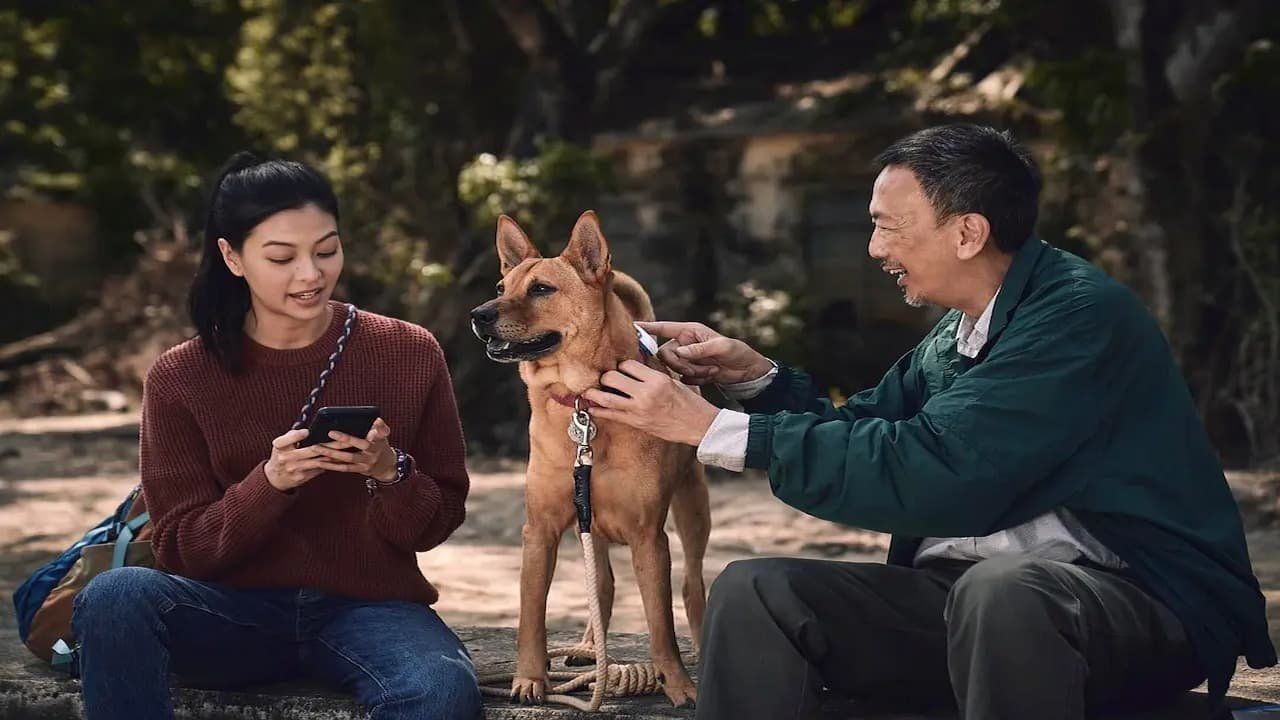 Cubierta de An Abandoned Team