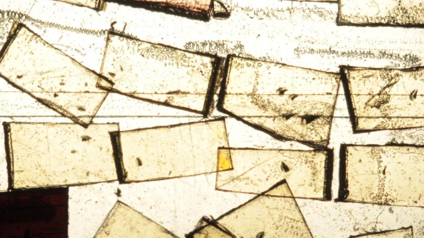 Cubierta de A Black Screen Too