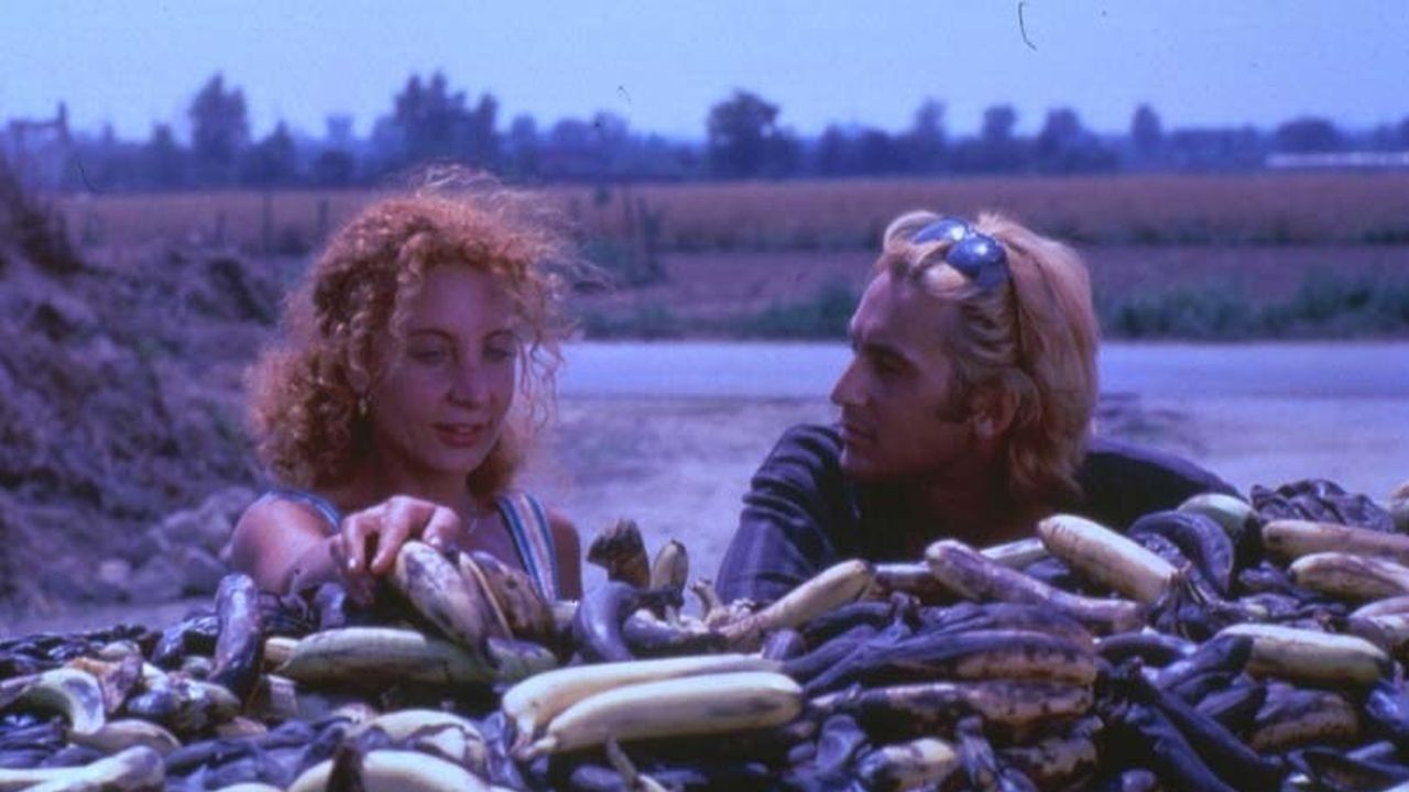 Cubierta de Black Holes