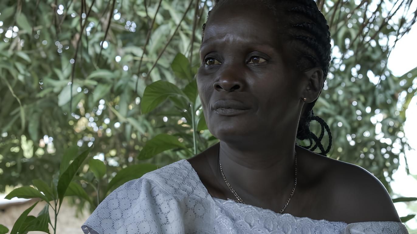 Cubierta de Far From Anger