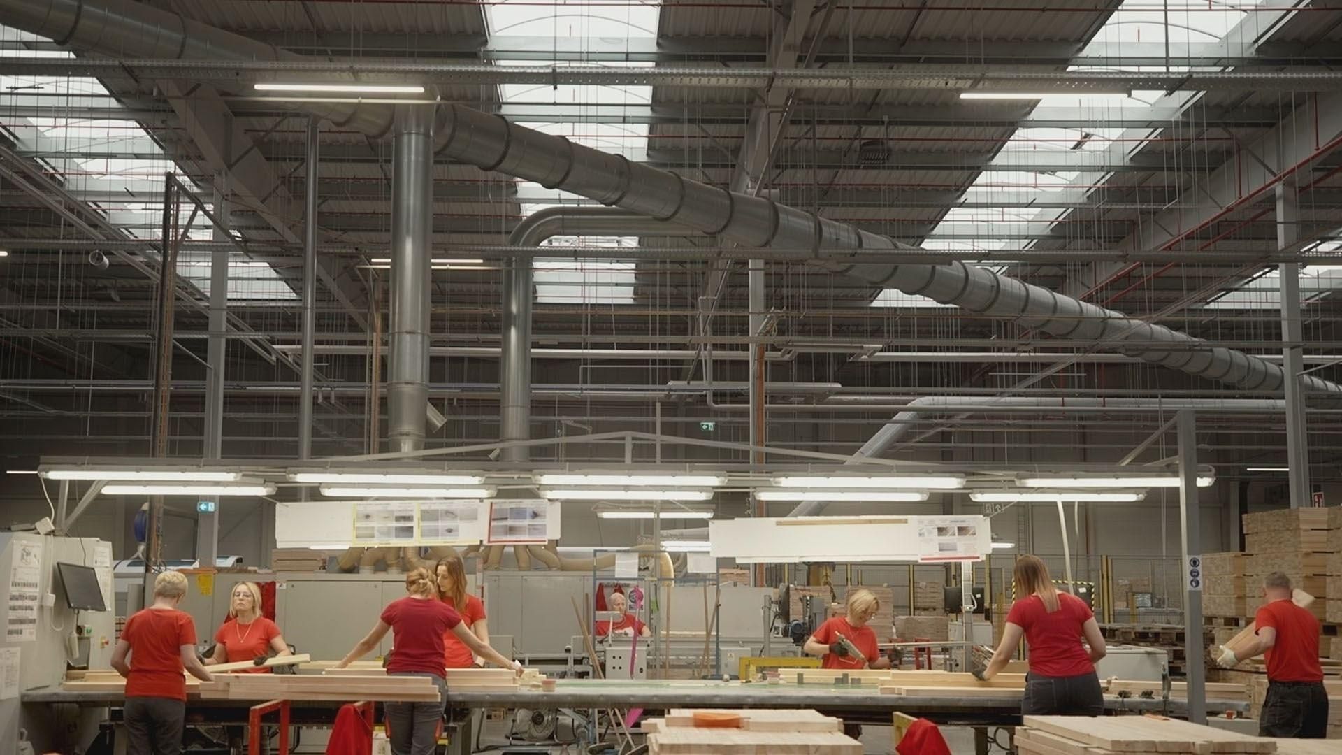 Cubierta de El señor de los bosques