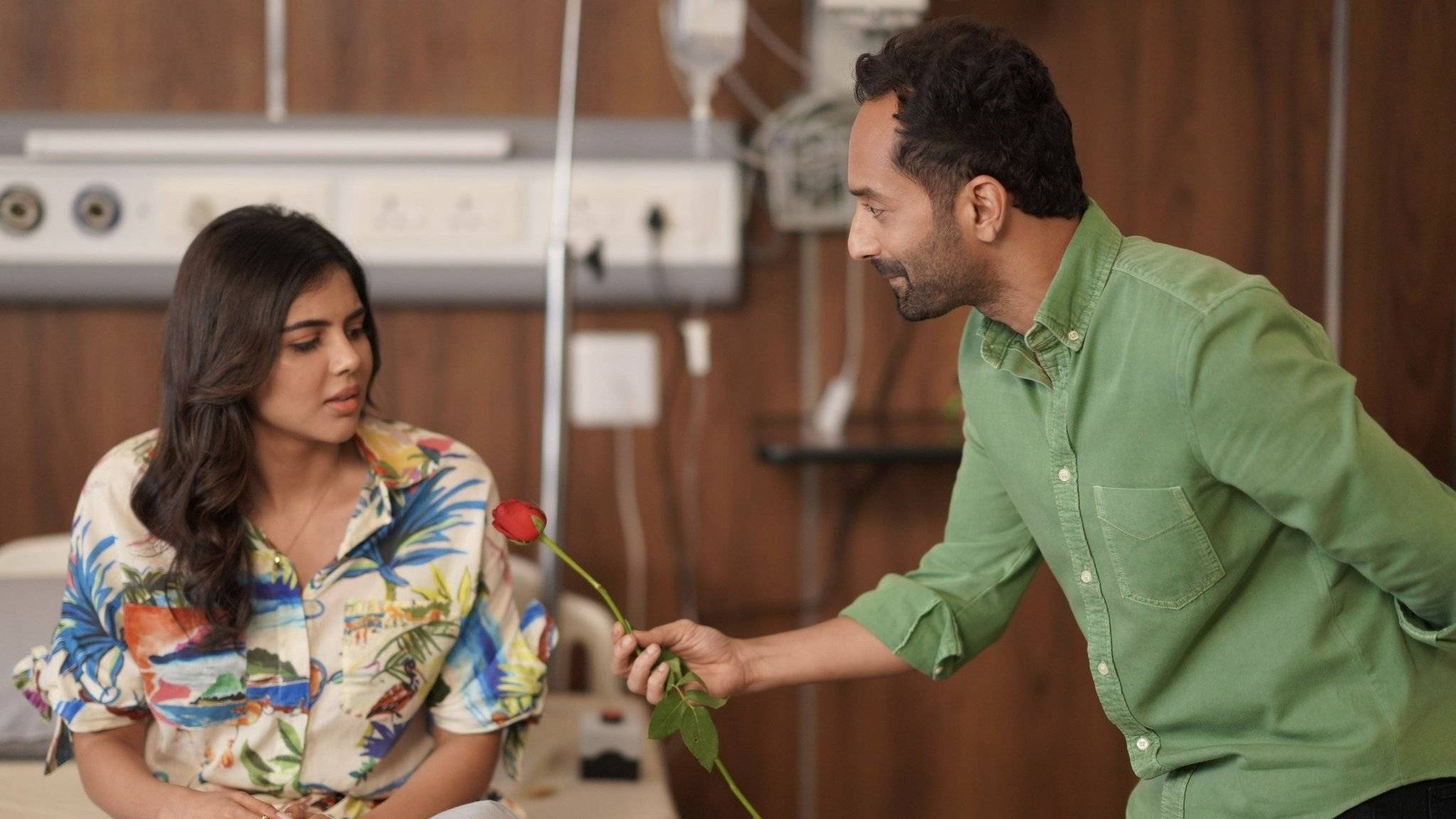 Cubierta de Caballo galopante