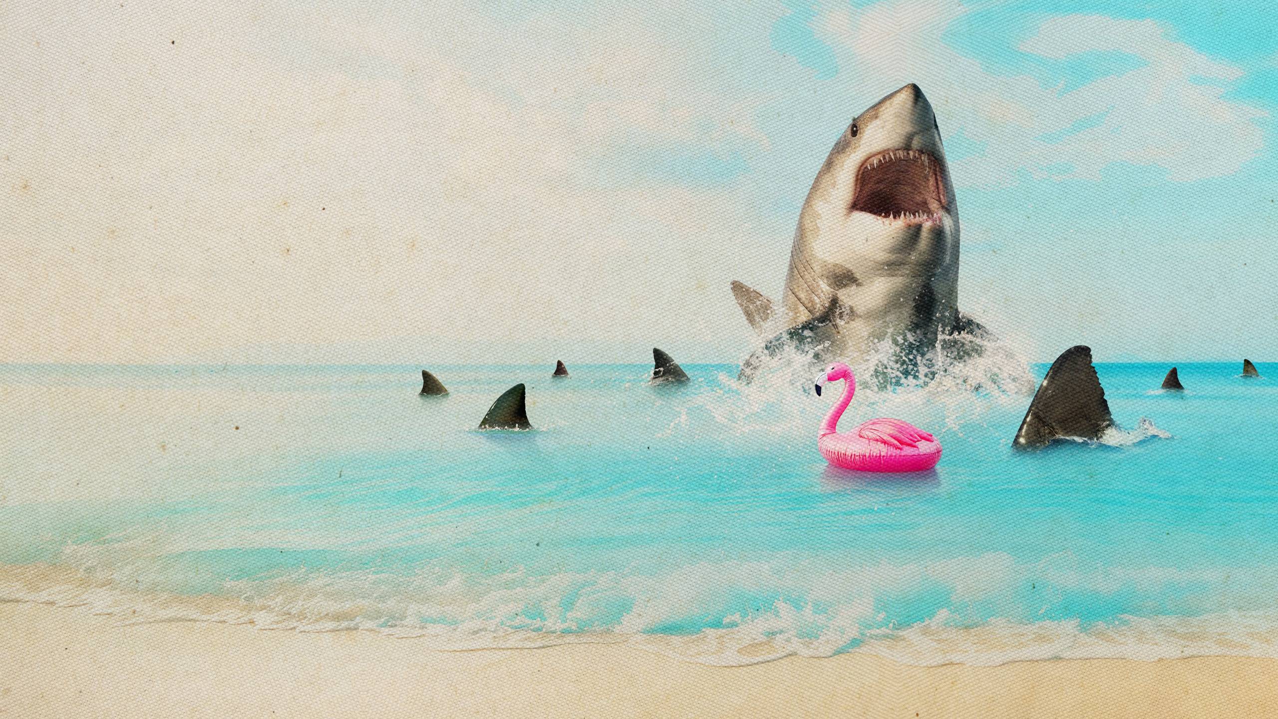 Cubierta de Florida\'s Death Beach