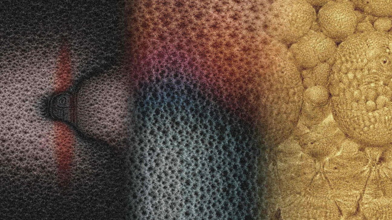 Cubierta de El jardín de las delicias eléctricas