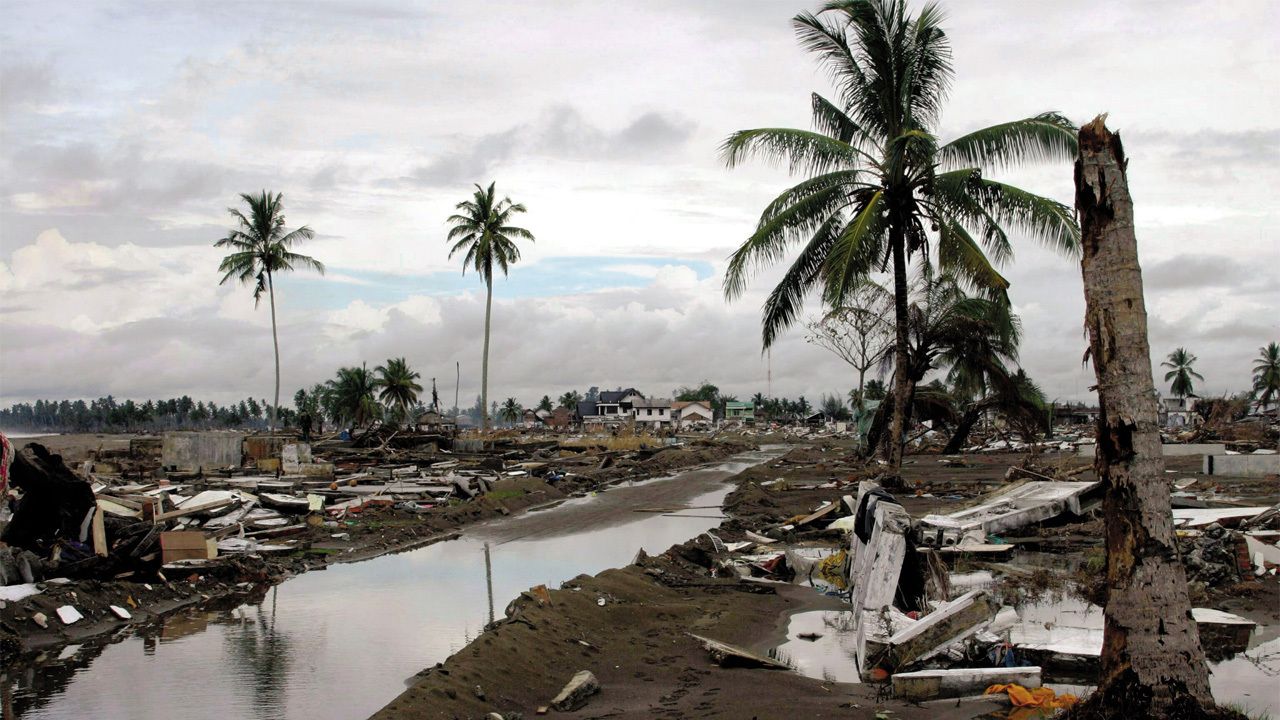 Cubierta de Tsunami: El día después
