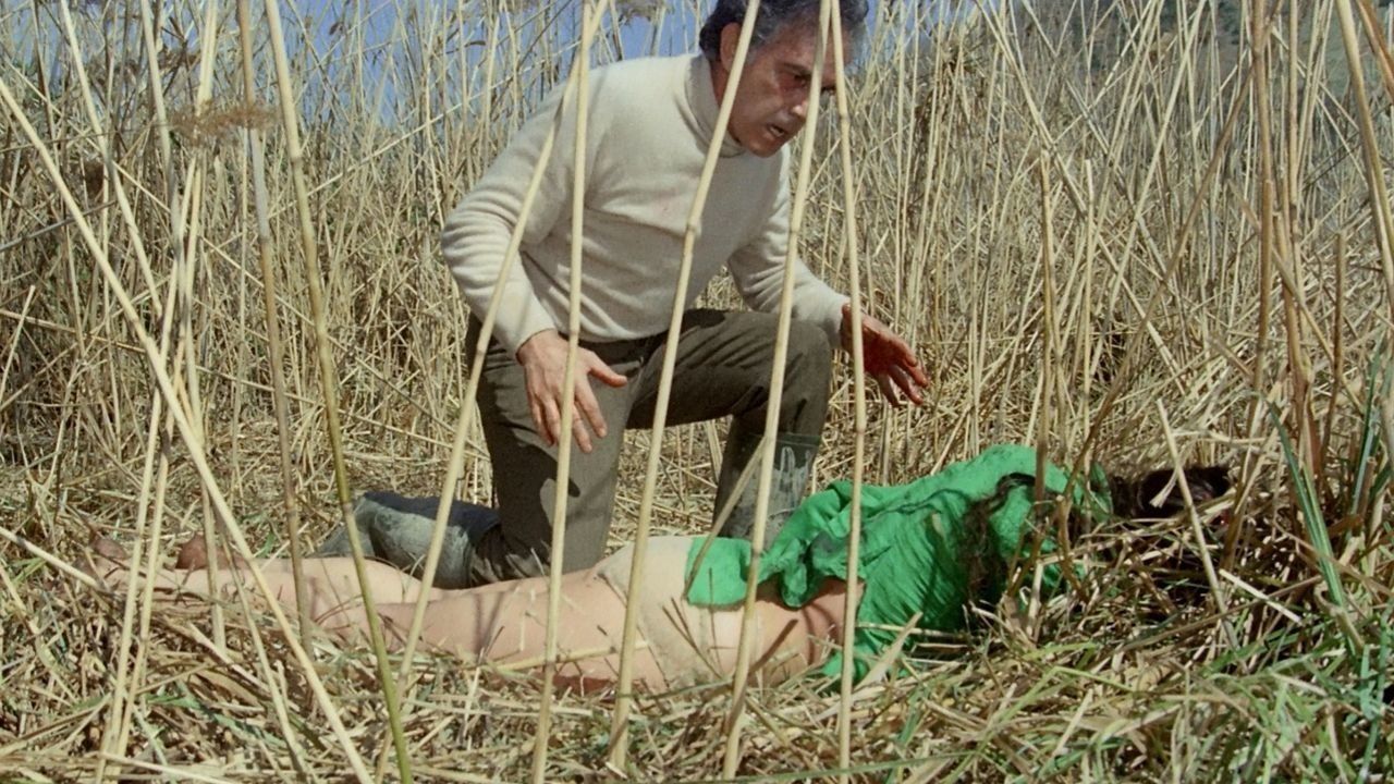 Cubierta de Justicia para todos