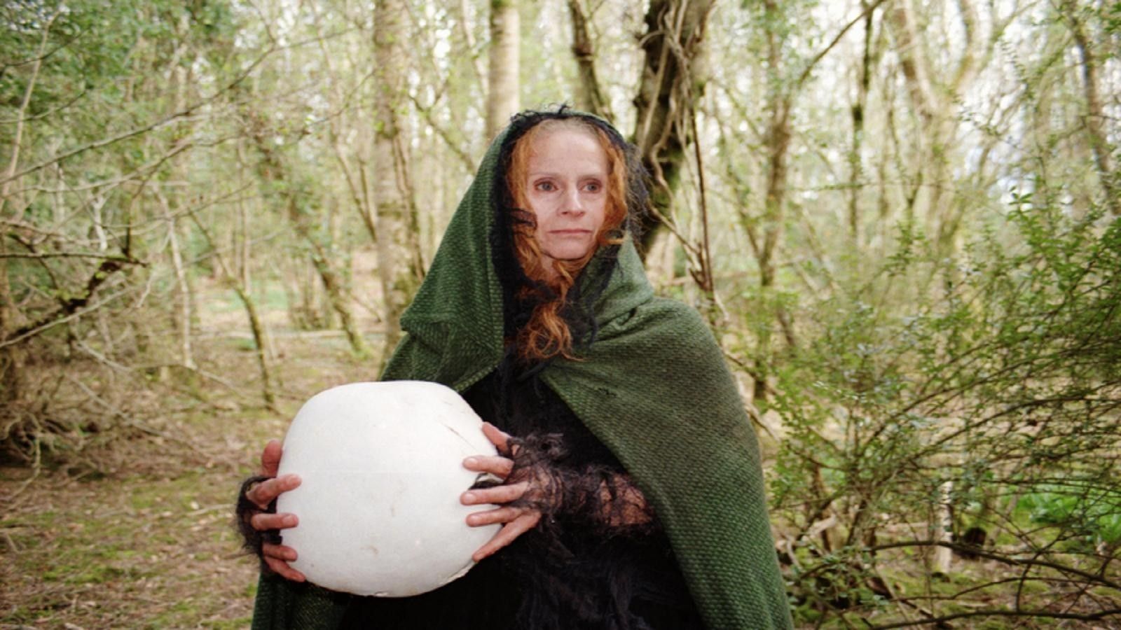 Cubierta de Puffball