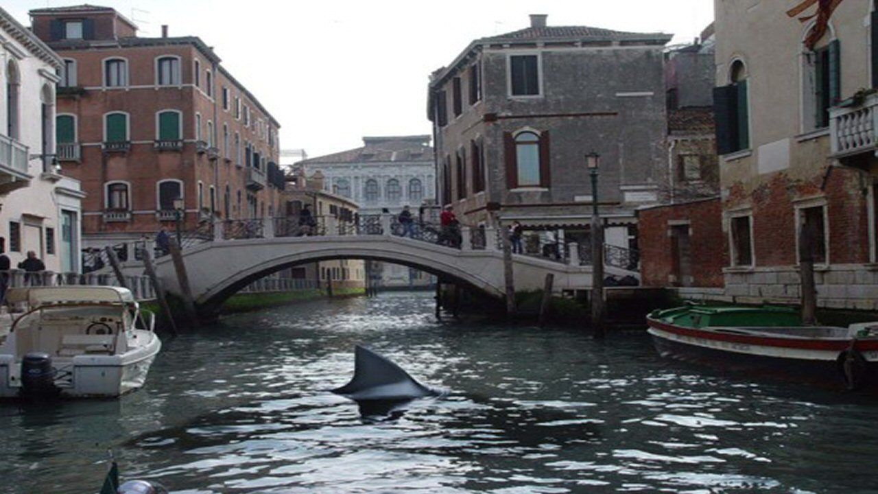 Cubierta de Tiburones en Venecia
