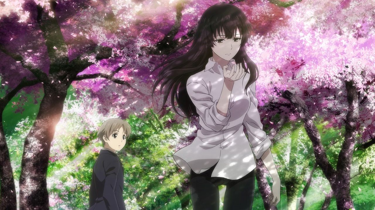 Cubierta de Beautiful Bones: Sakurako’s Investigation