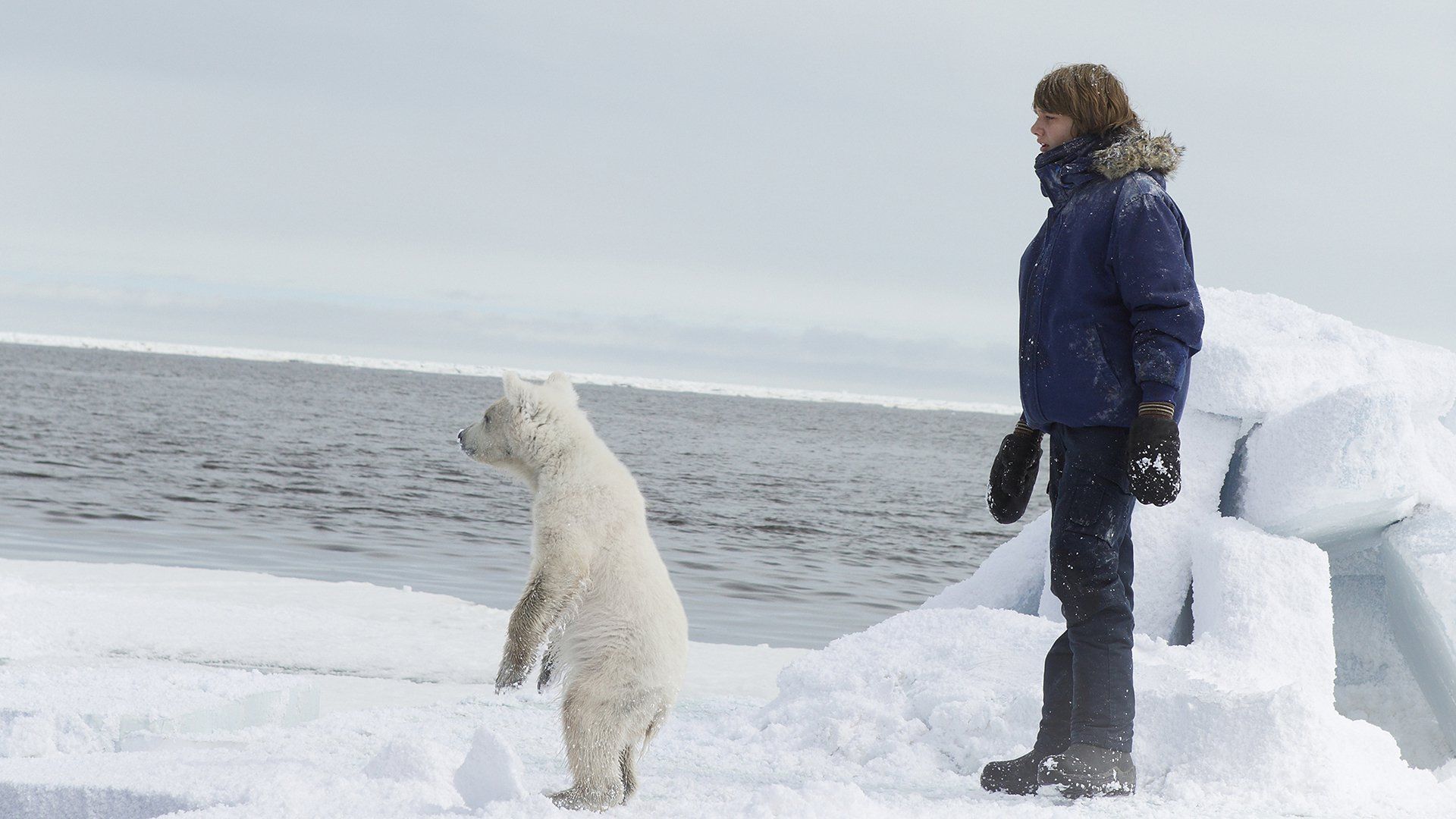 Cubierta de Midnight Sun: Una aventura polar