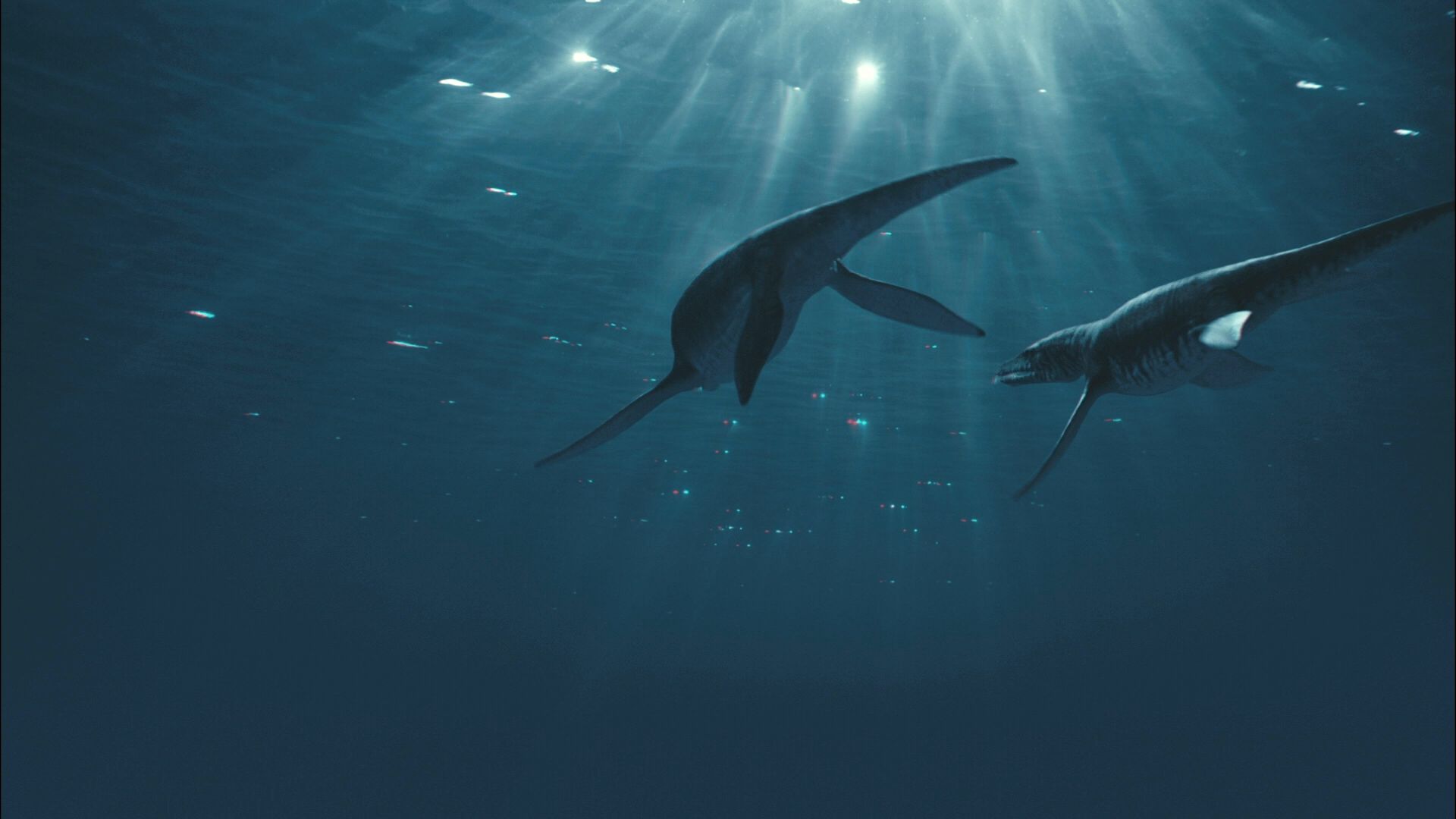 Cubierta de Sea Rex 3D: Viaje al mundo prehistorico