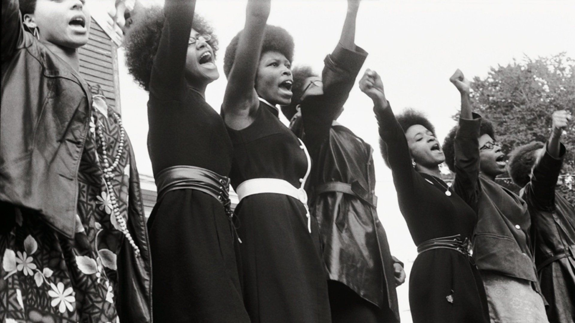 Cubierta de The Black Panthers: Vanguard of the Revolution