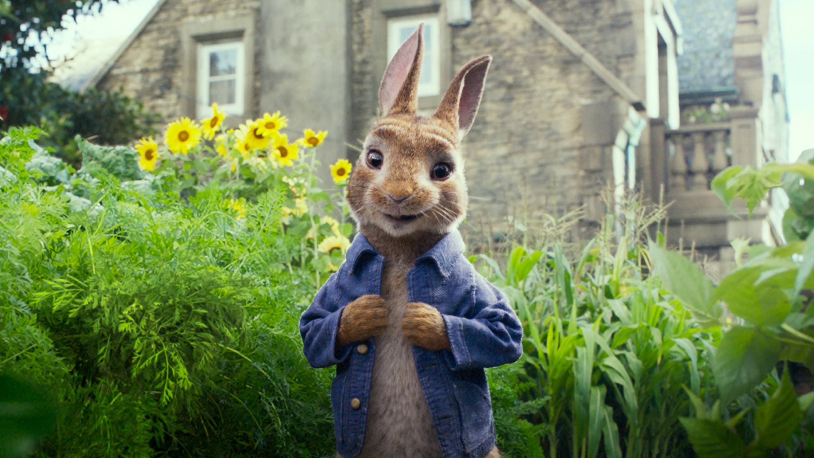 Cubierta de Peter Rabbit