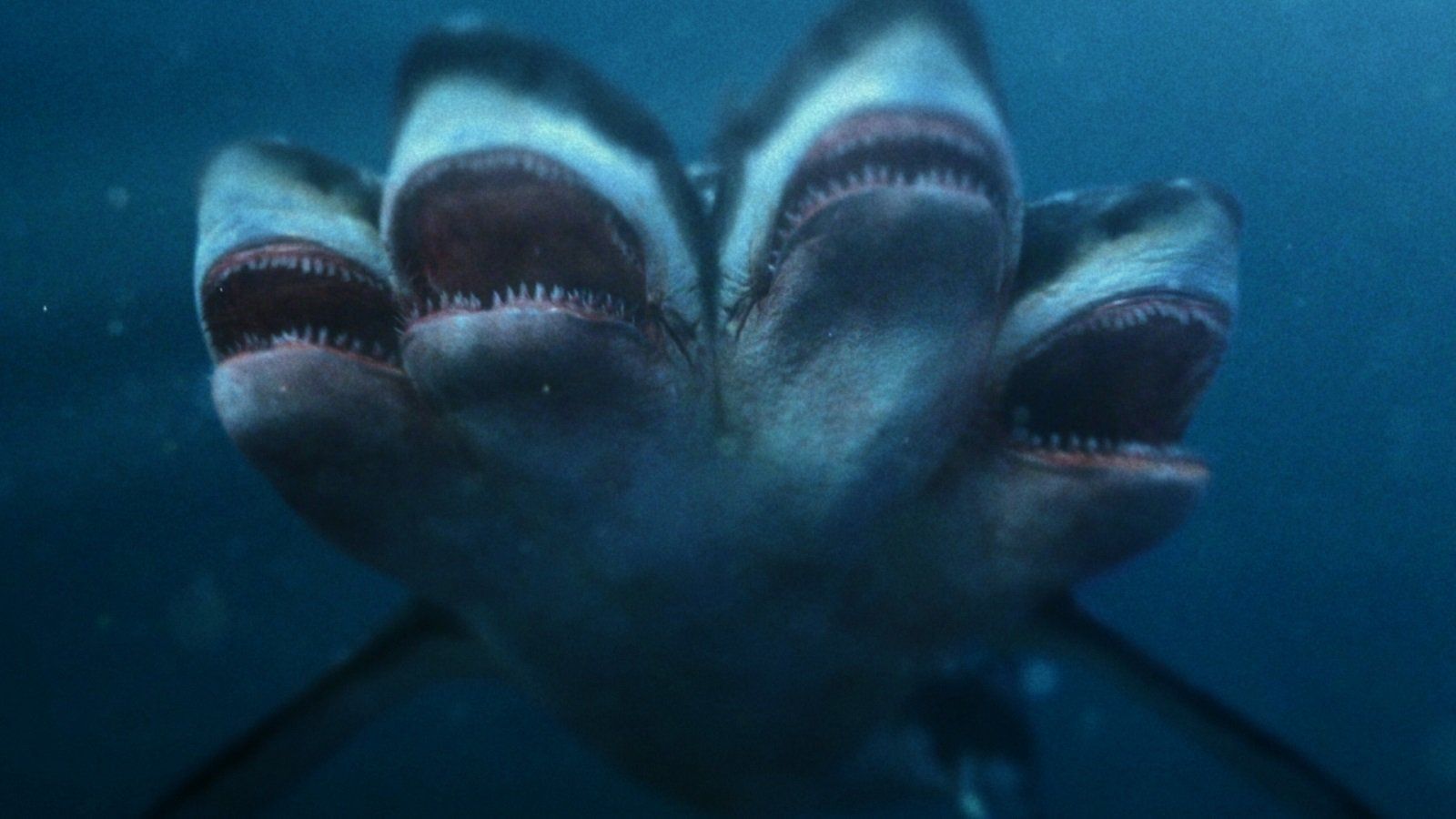 Cubierta de El ataque del tiburón de cinco cabezas