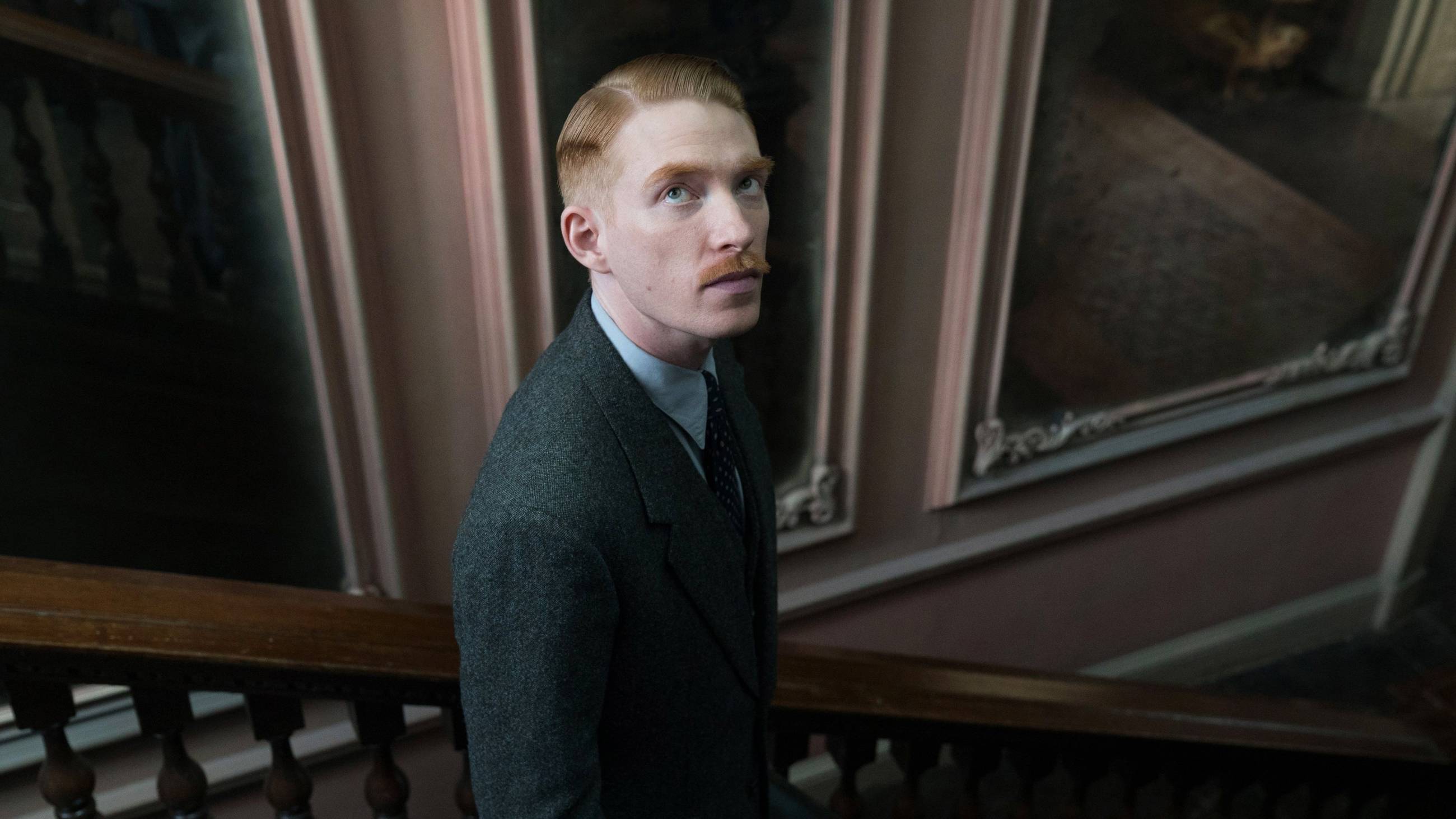 Cubierta de The Little Stranger