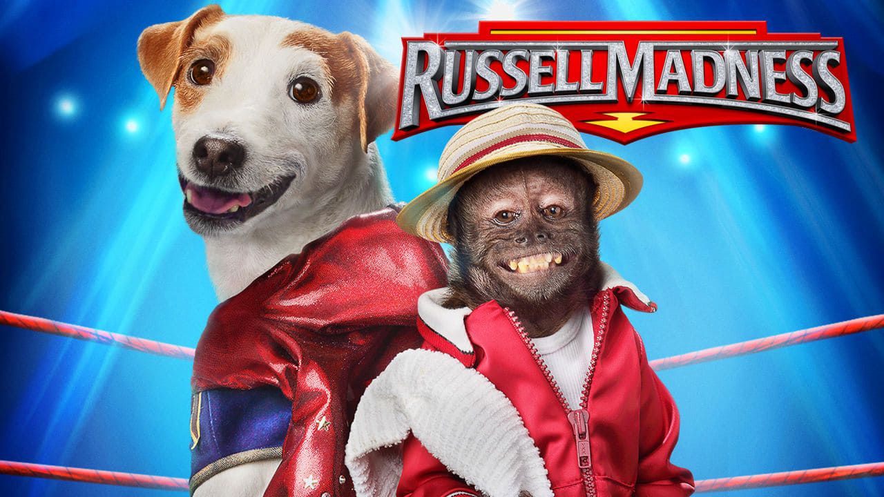 Cubierta de Russell, el perro luchador