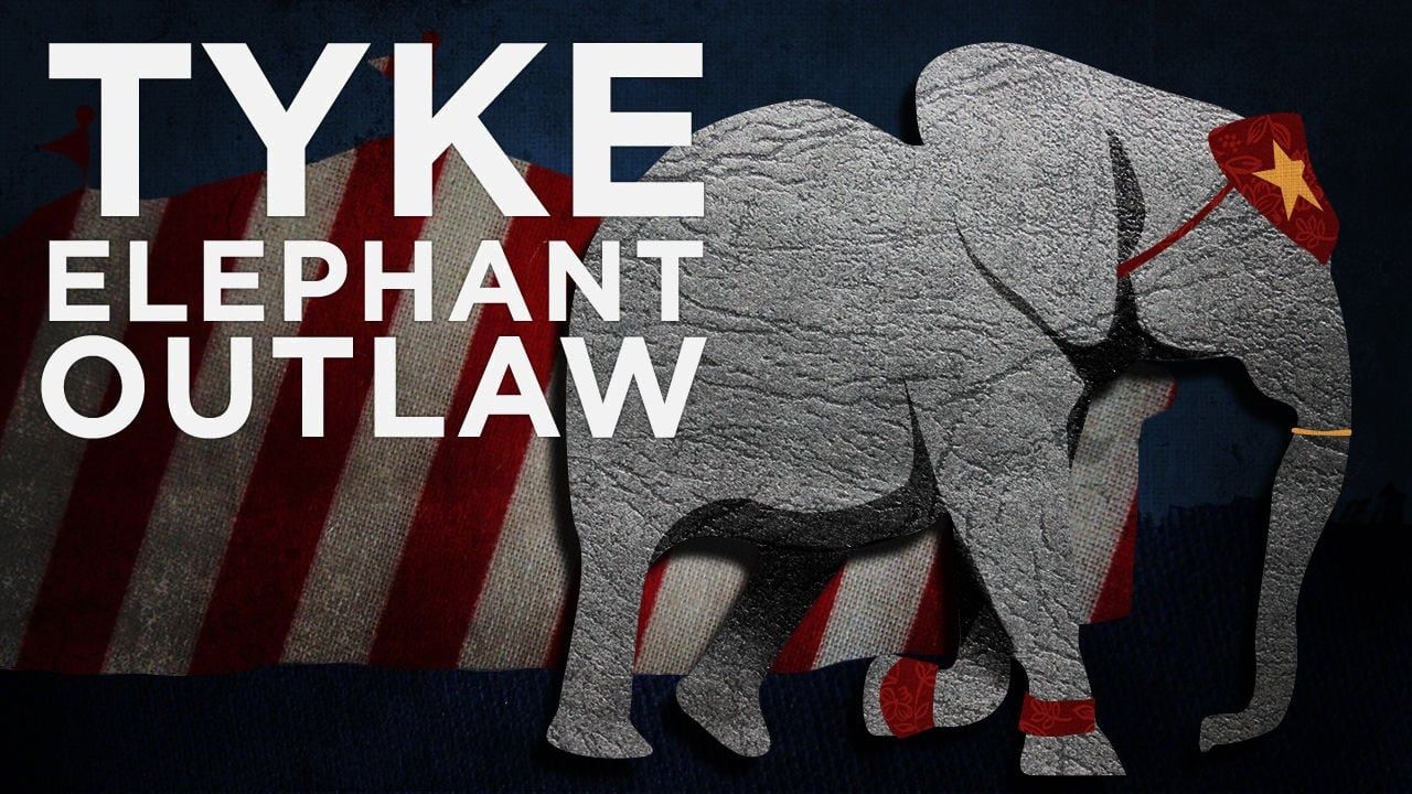 Cubierta de Tyke Elephant Outlaw