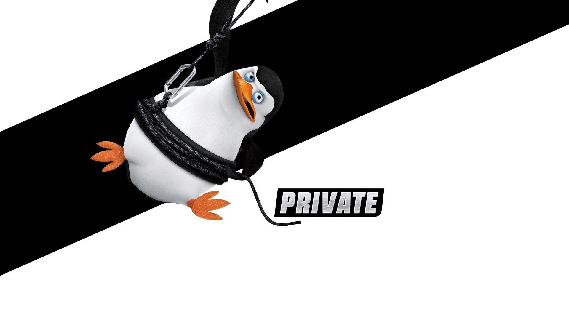 Cubierta de The Penguins of Madagascar: The All-Nighter Before Xmas