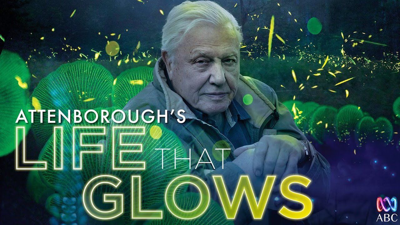 Cubierta de Attenborough\'s Life That Glows