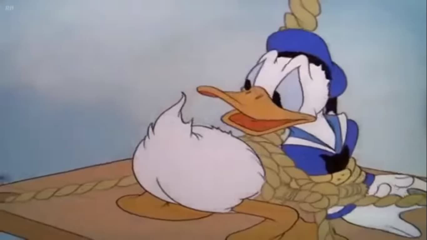 Cubierta de Pato Donald: Limpiadores de ventanas