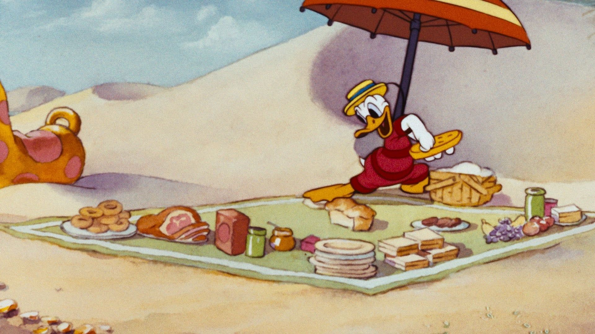 Cubierta de Pato Donald: Picnic en la playa