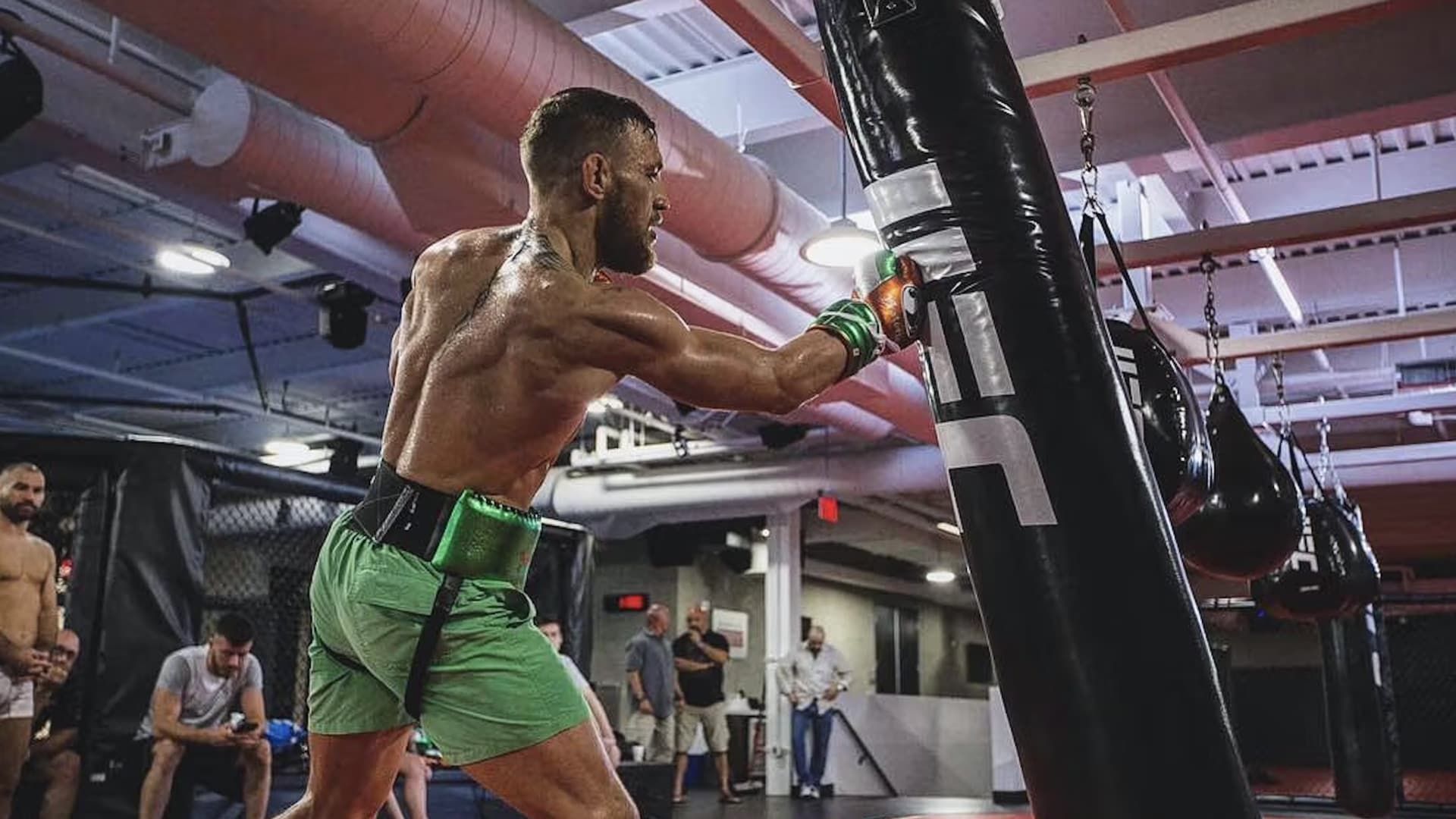 Cubierta de Conor McGregor: Notorious