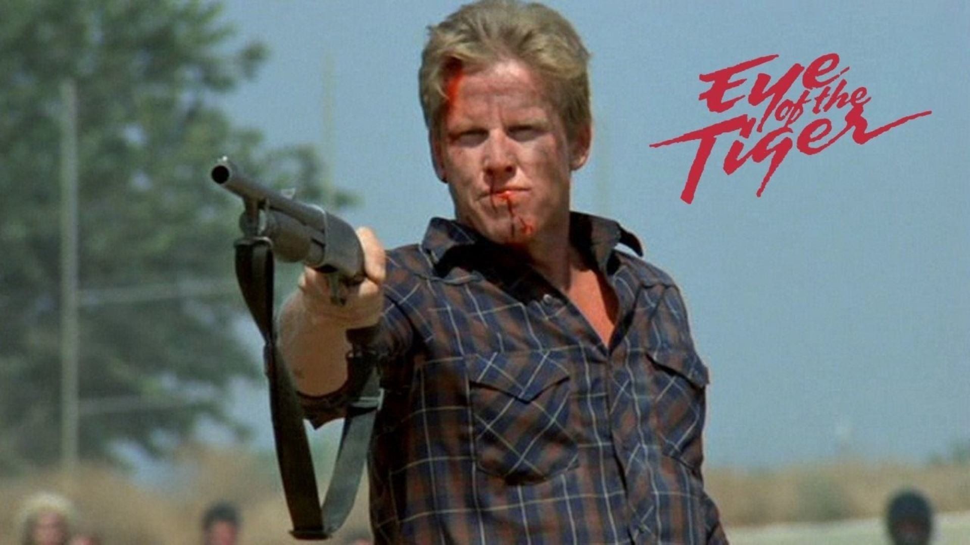 Cubierta de El ojo del tigre