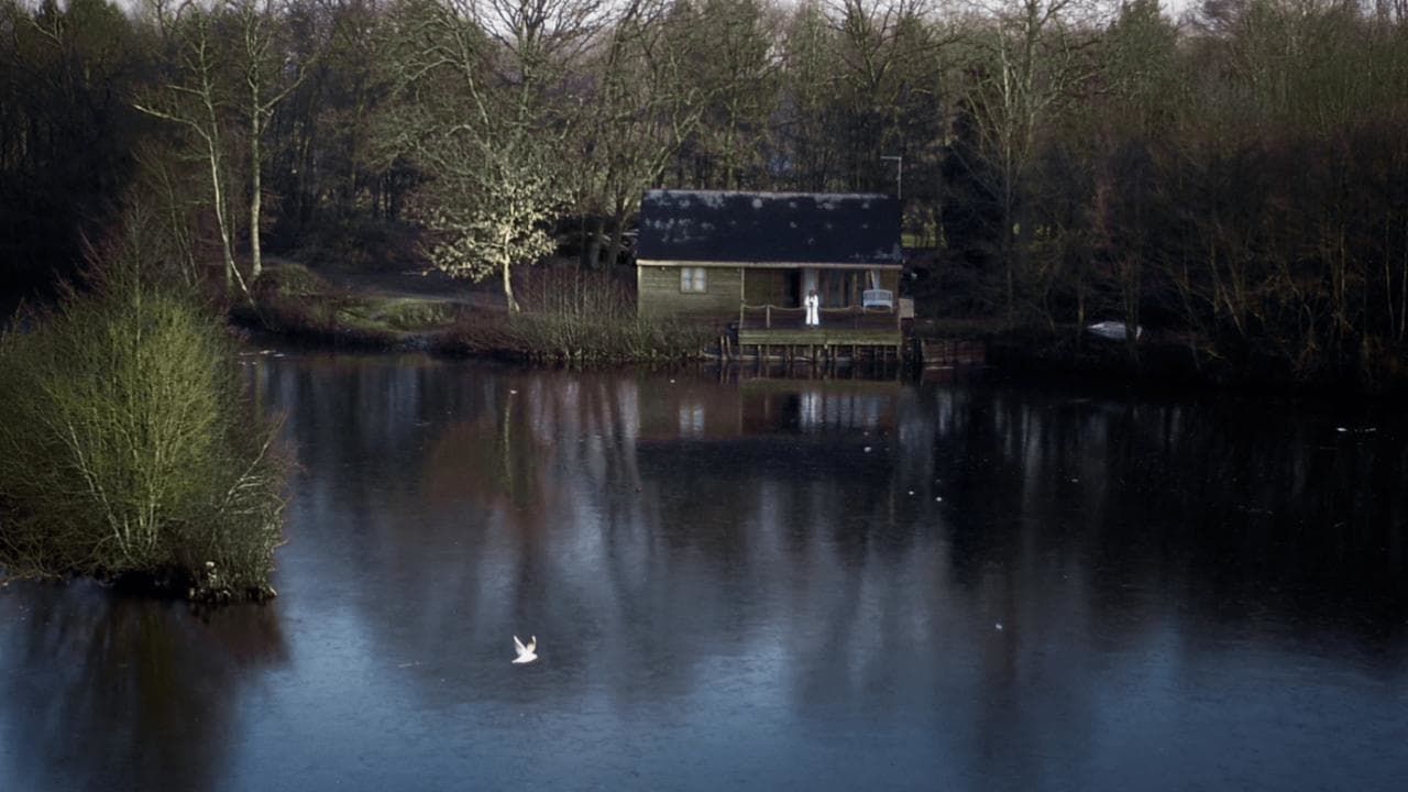 Cubierta de House on Elm Lake