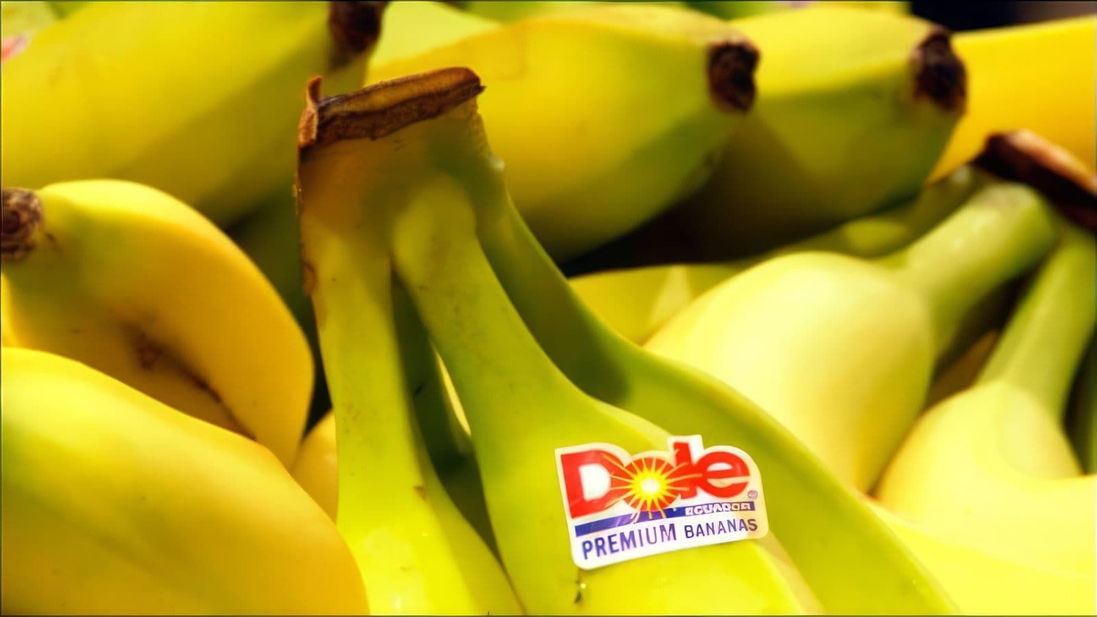 Cubierta de Big Boys Gone Bananas!