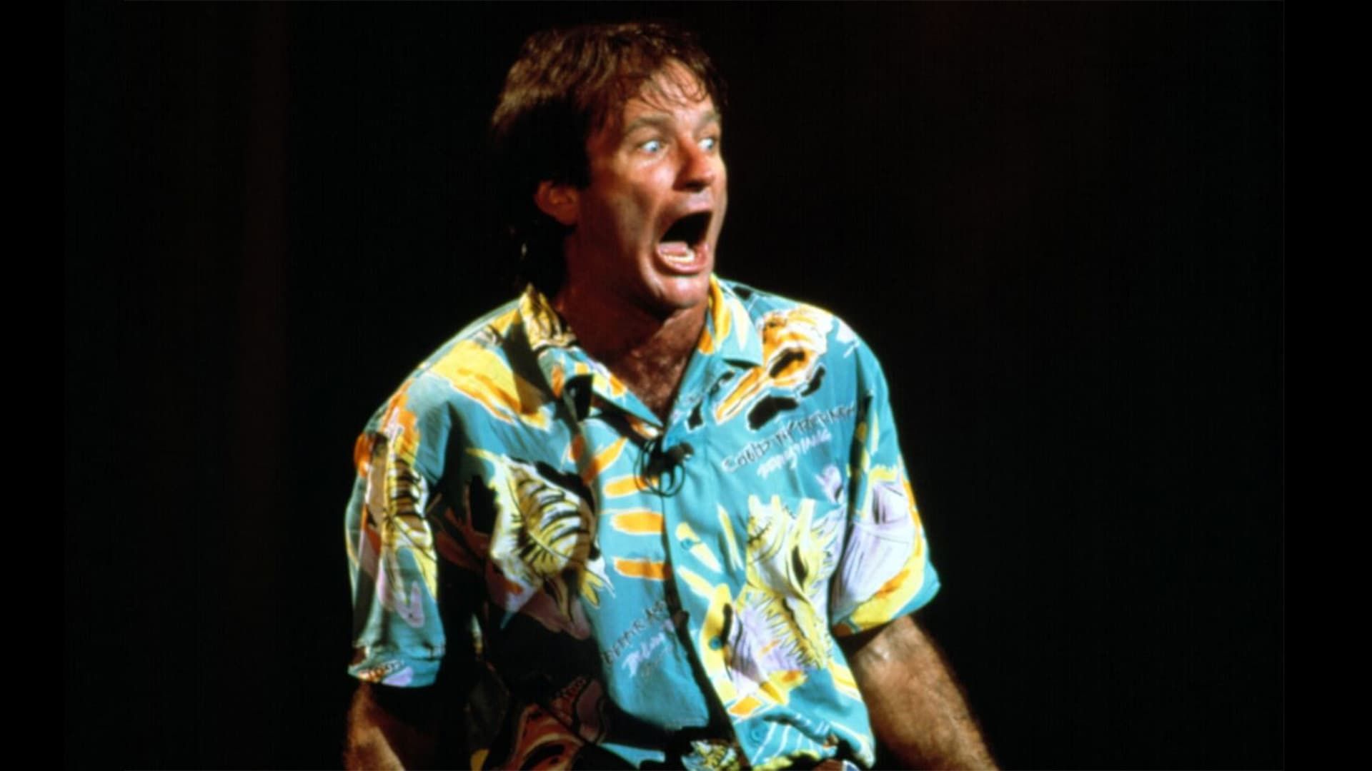 Cubierta de Robin Williams: Live at the Met