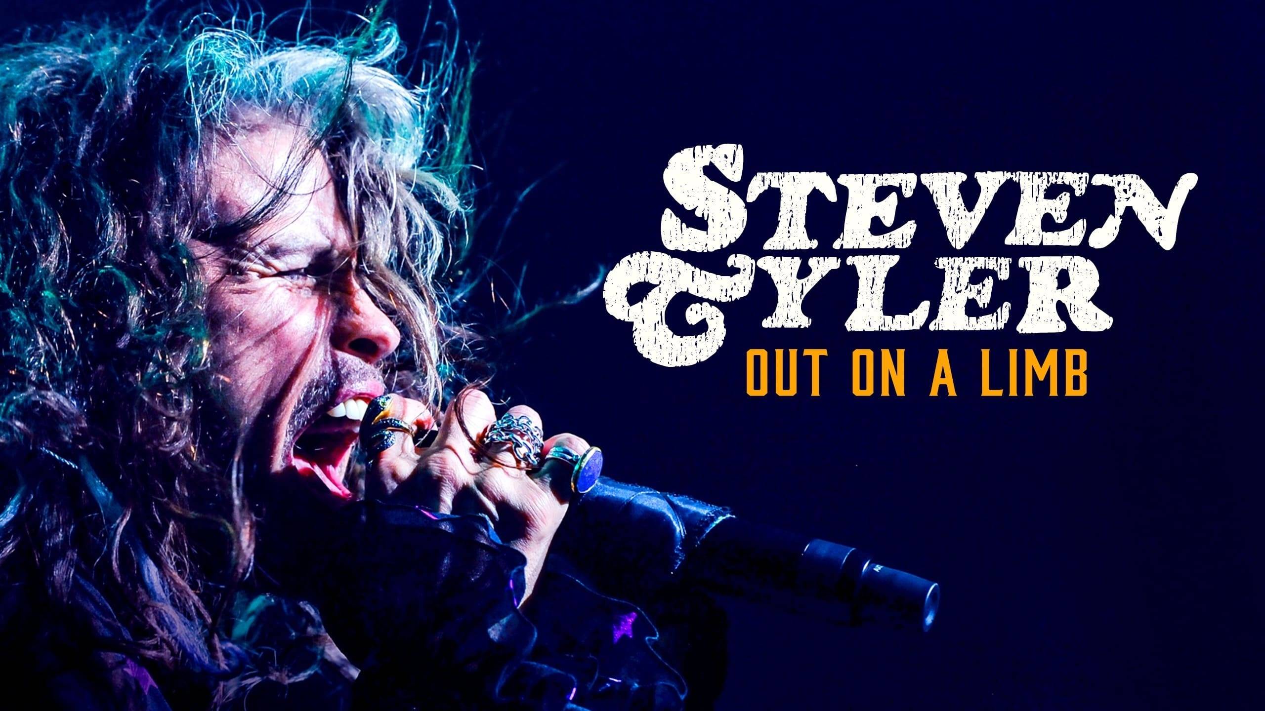 Cubierta de Steven Tyler: Out on a Limb